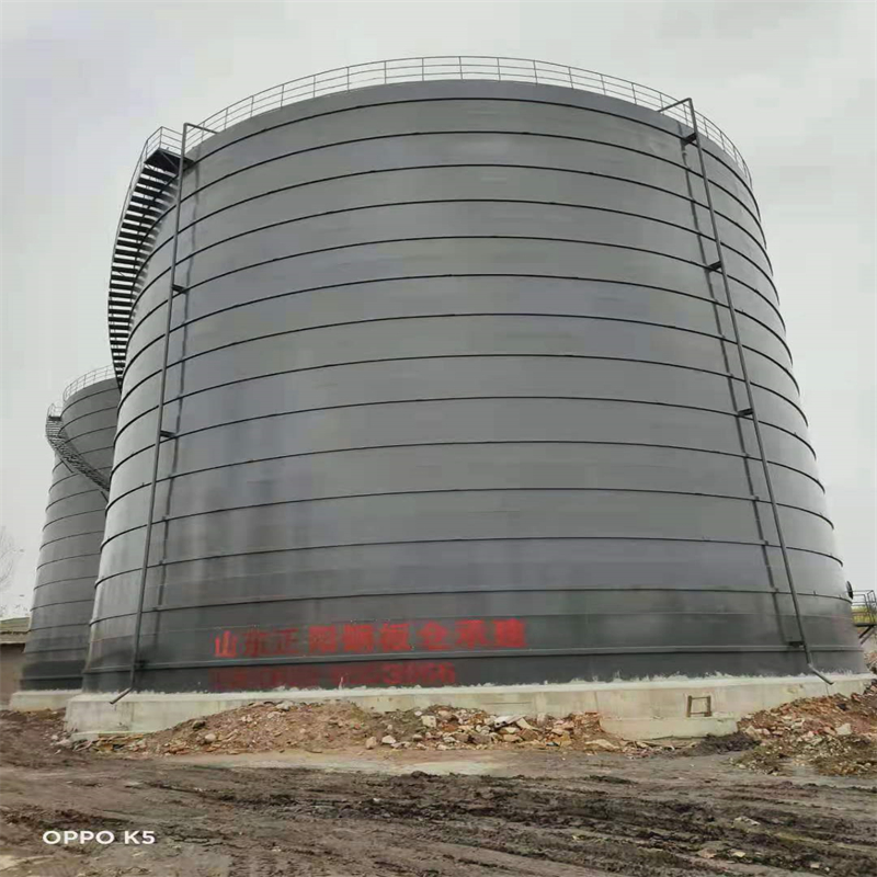 成华3万吨大型钢板库